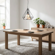 Modern Geometric Pendant Light with Black Frame - GILDLAMPS